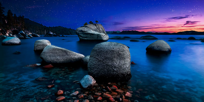 BONSAI ROCK image 0