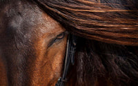 Fearless image 0