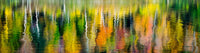 REFLEXIONES DE OTOÑO image 0