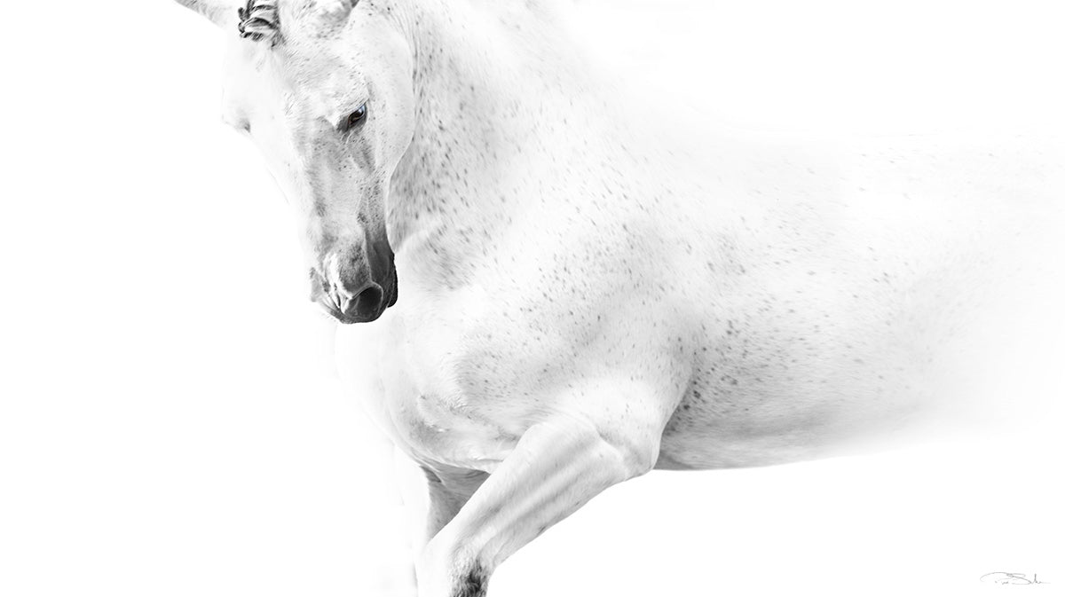 PEGASUS image 0