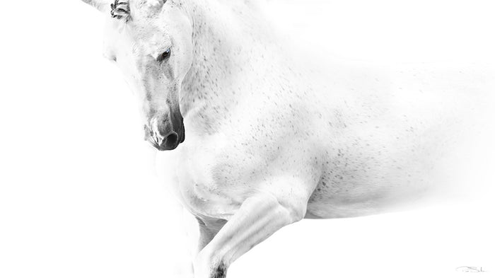 PEGASUS image 0
