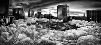 Platino B&W image 0