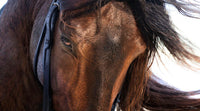 Character image 0