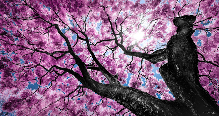 BEAUTIFUL DAY image 0