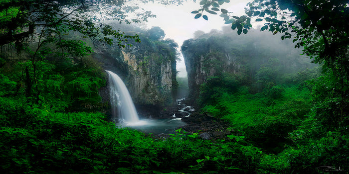 Edén image 0