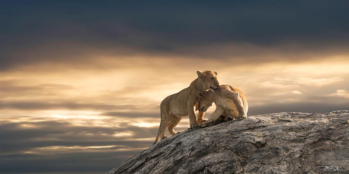 LEAN ON ME image 0