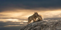 LEAN ON ME image 0