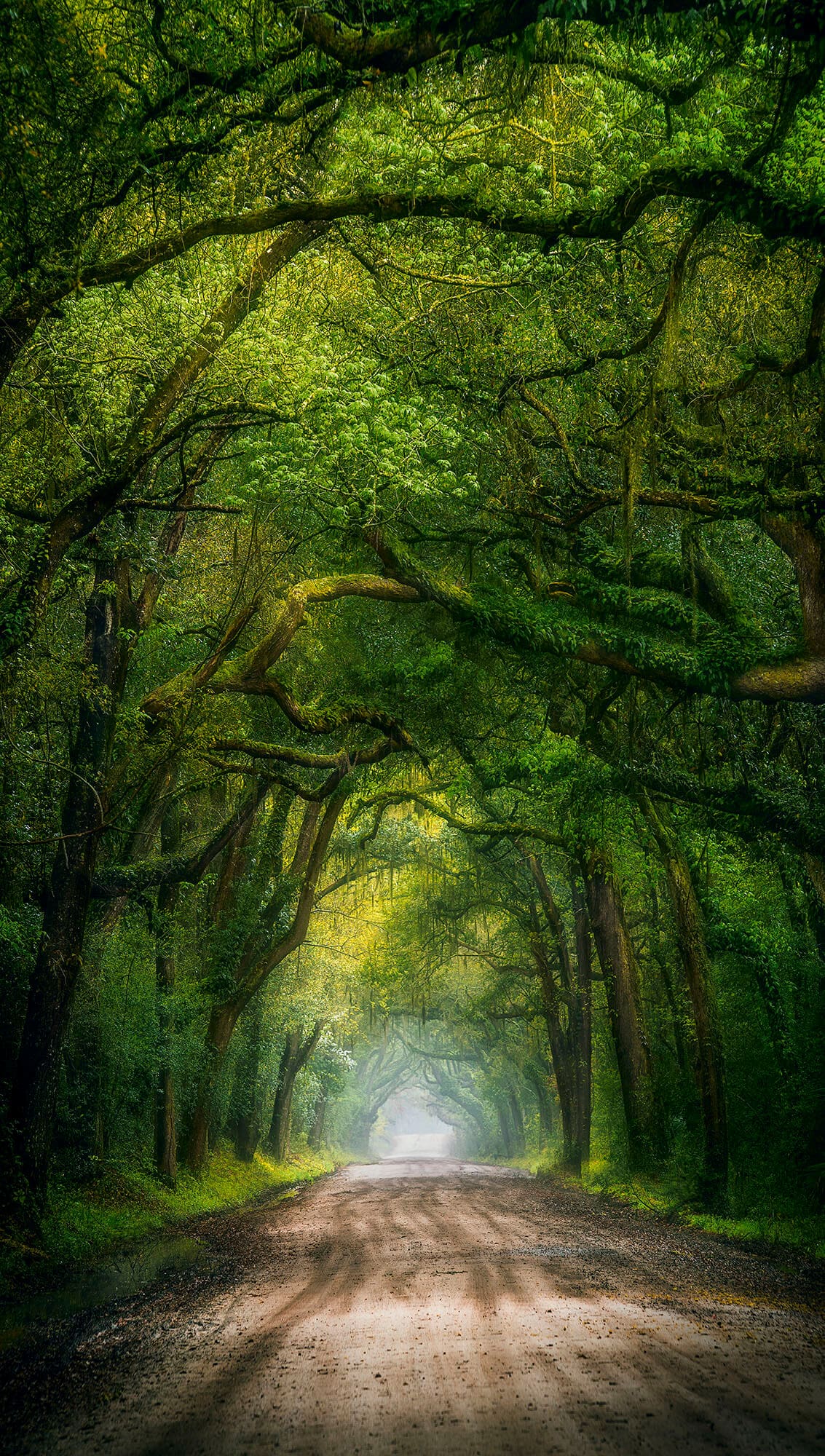 Mystic Road image 0