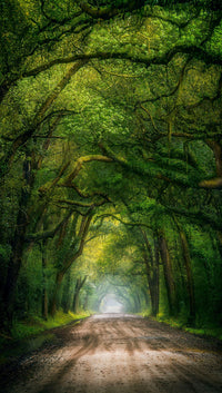 Mystic Road image 0