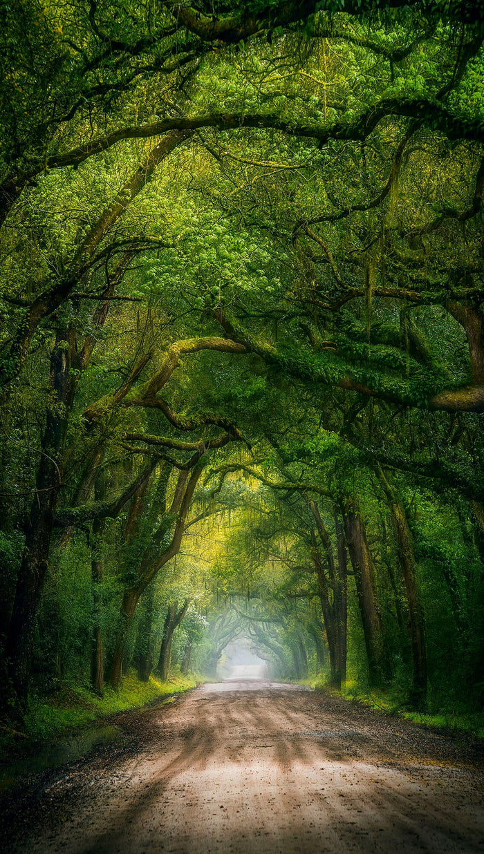 Mystic Road image 0