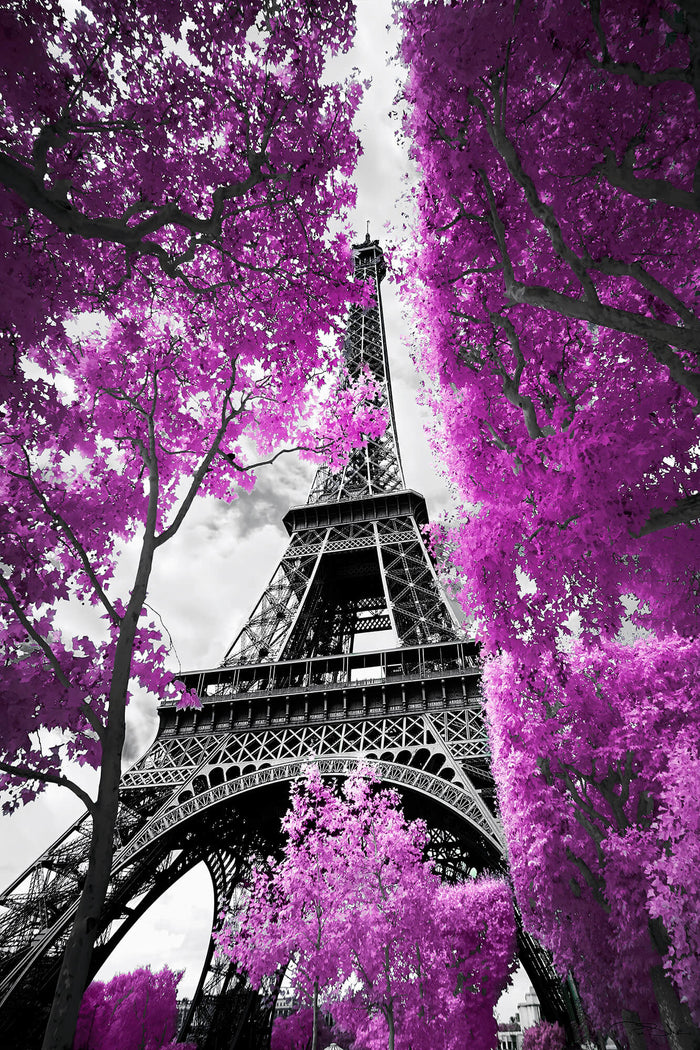 Lady in Pink II image 0