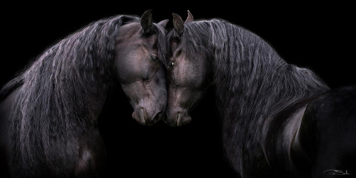 MOTHER´S LOVE image 0