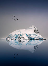 REFLECTION IN ANTARTICA image 0