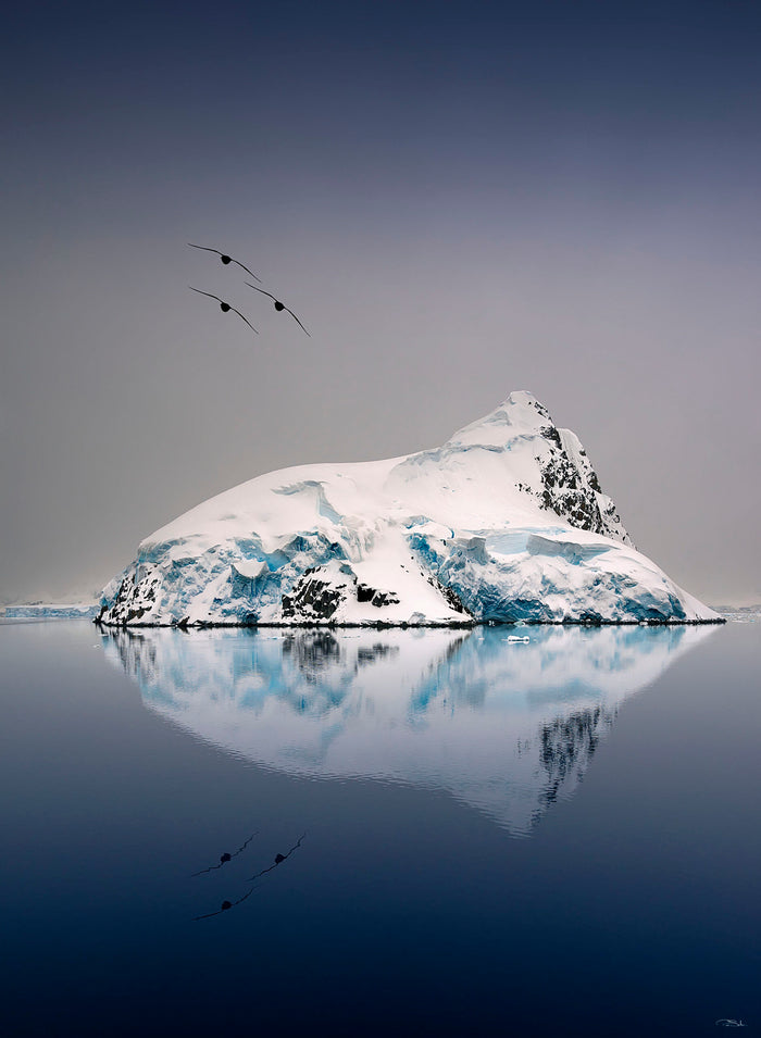 REFLECTION IN ANTARTICA image 0