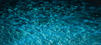 H2O II image 0