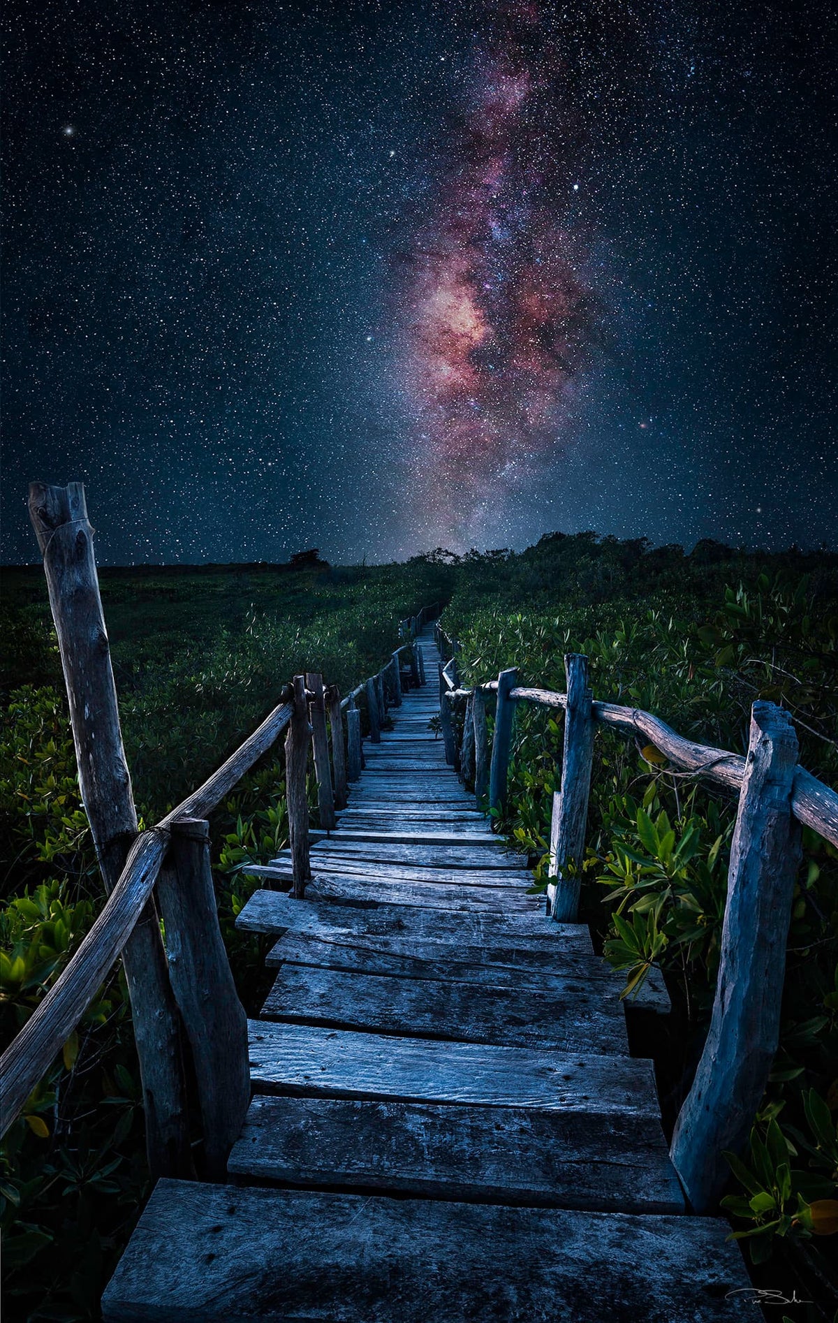 STARDUST image 0