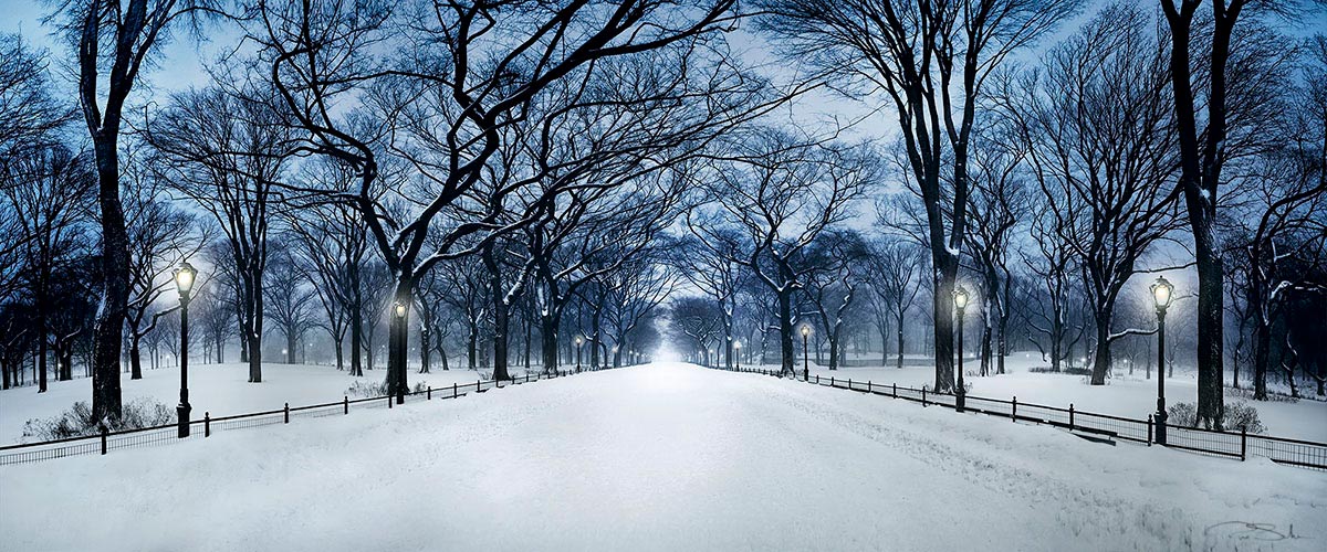 The Path image 0