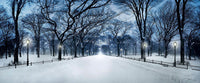 The Path image 0