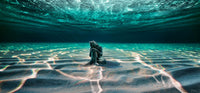 ENLIGHTENMENT image 0