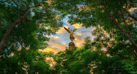 QUERIDA CIUDAD image 0