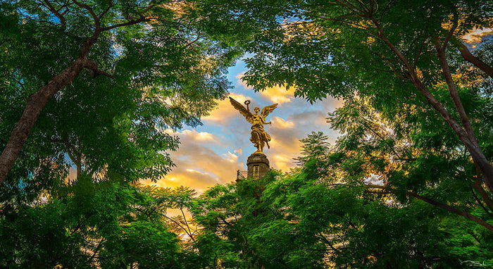 QUERIDA CIUDAD image 0