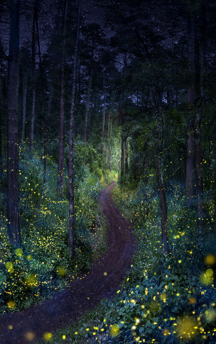 Ilumina image 0