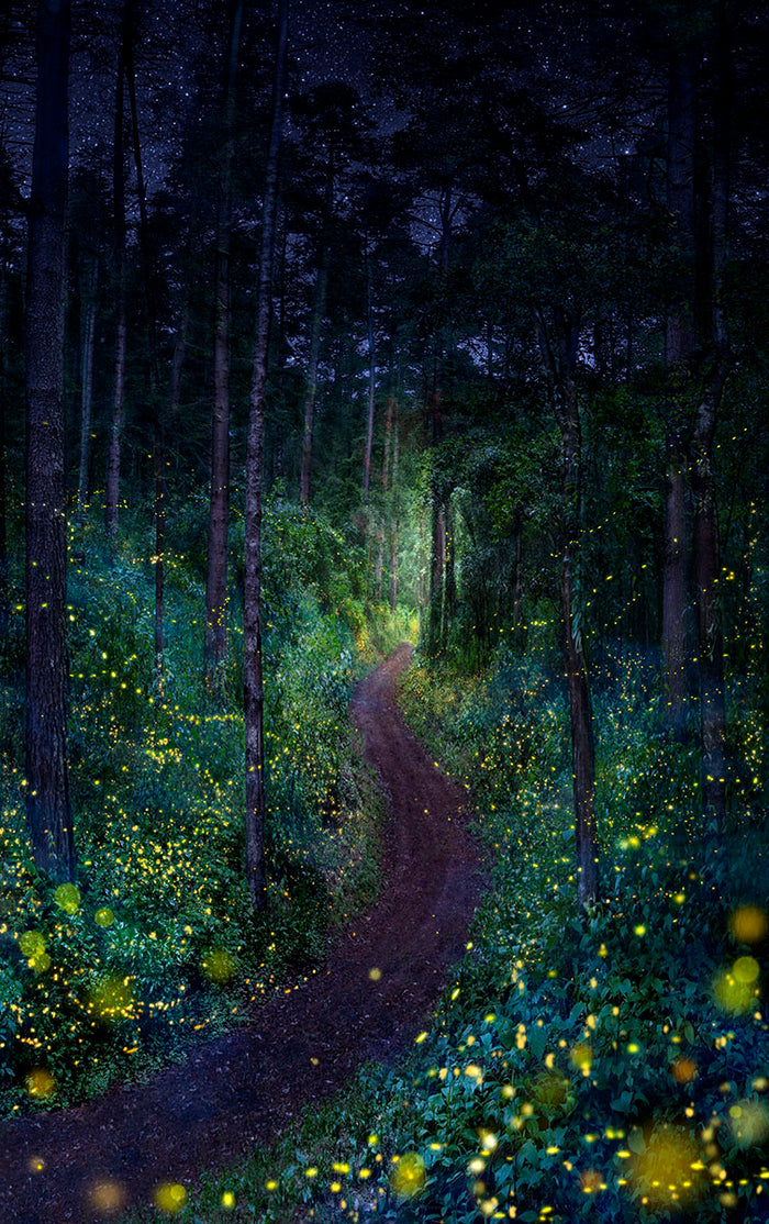 Ilumina image 0