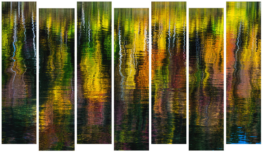 OTOÑO EN COLLAGE image 0