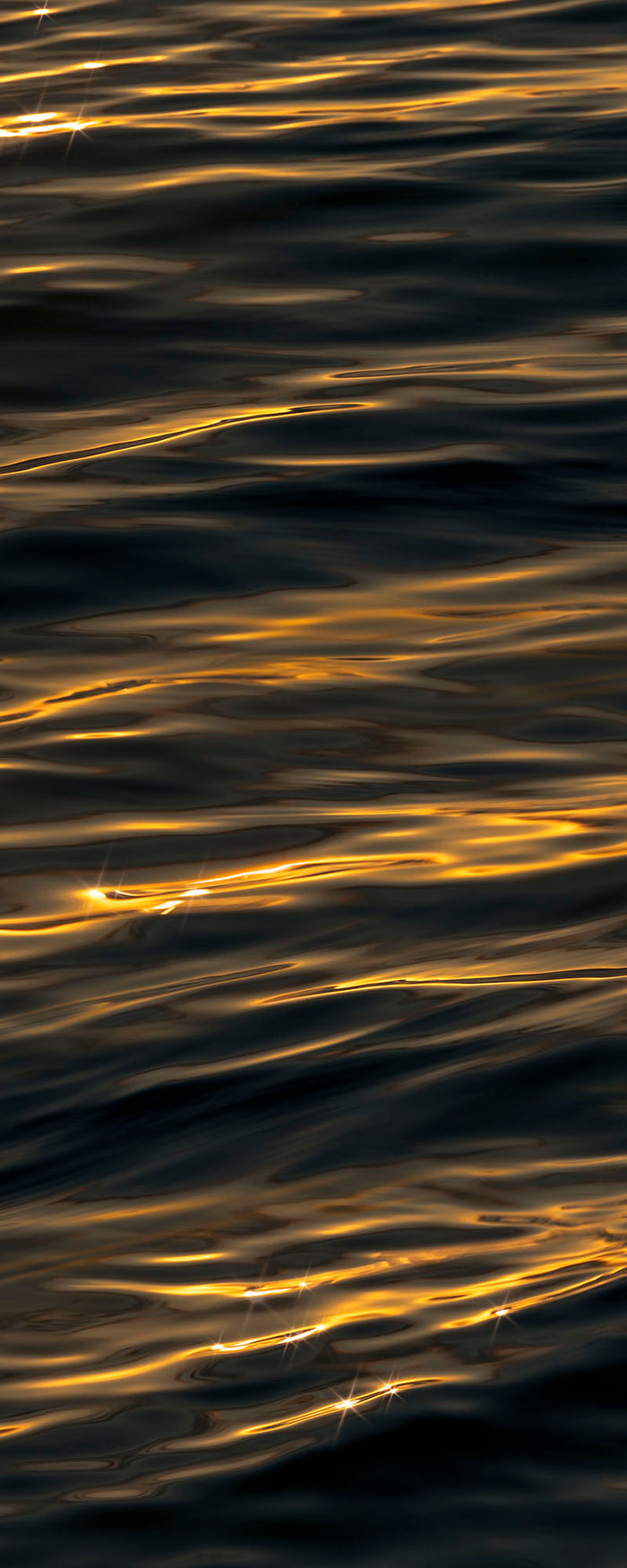 GOLDEN TOUCH II