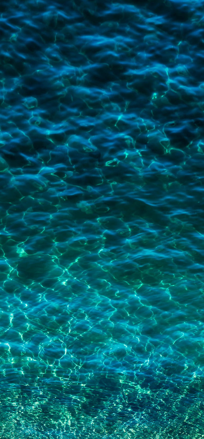 H2O