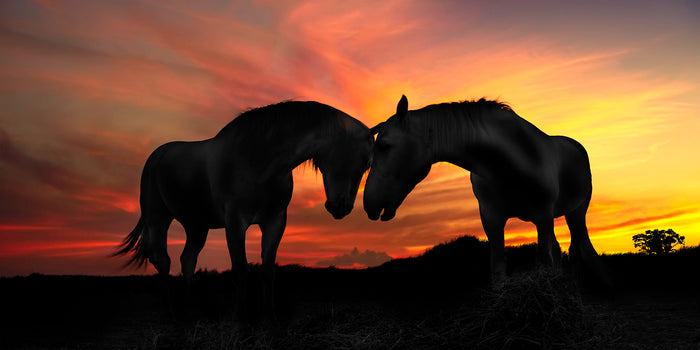 LOVELY SUNSET