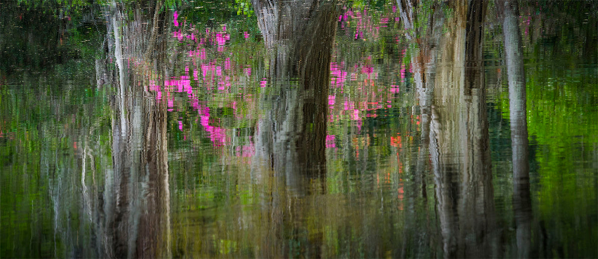 MAGNOLIA