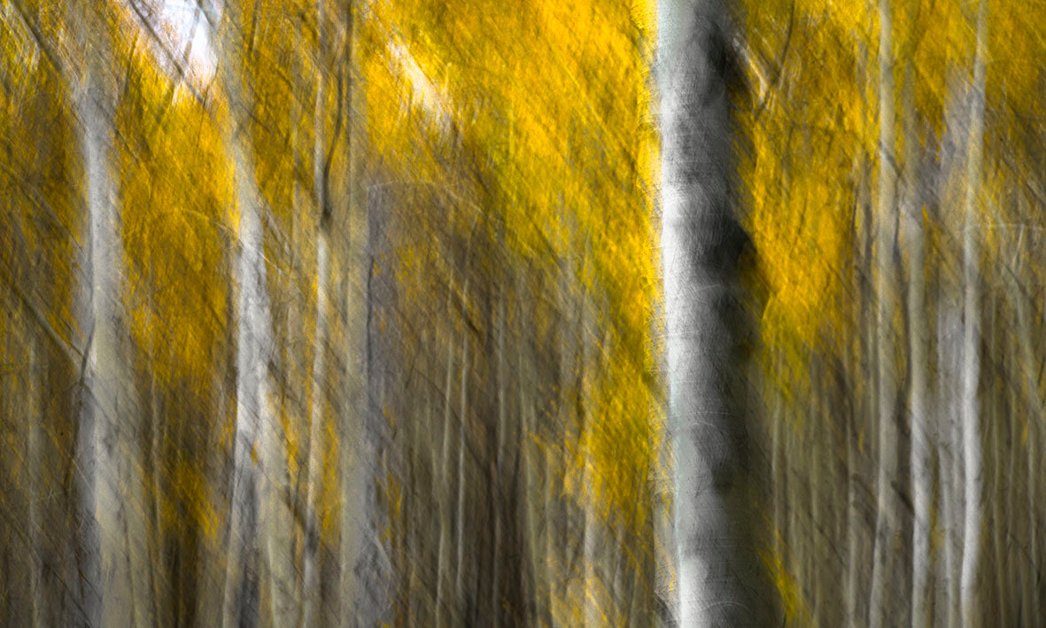 MOVEMENT