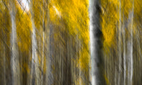 MOVEMENT