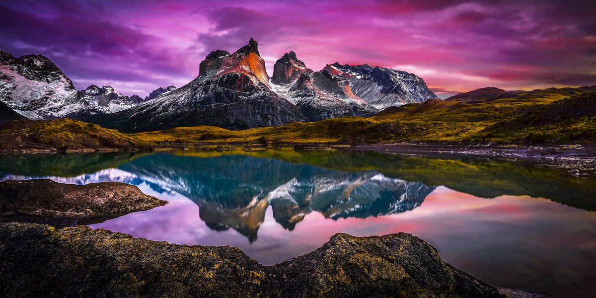 PURPLE SUNRISE