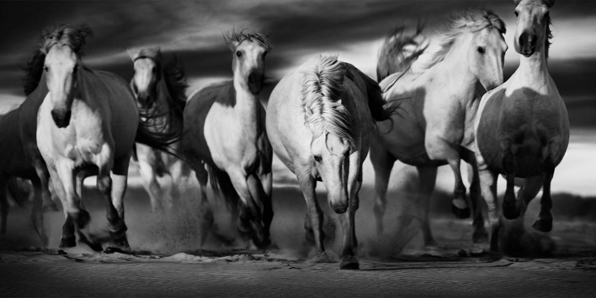 RUNNING WILD