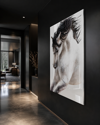 STALLION
