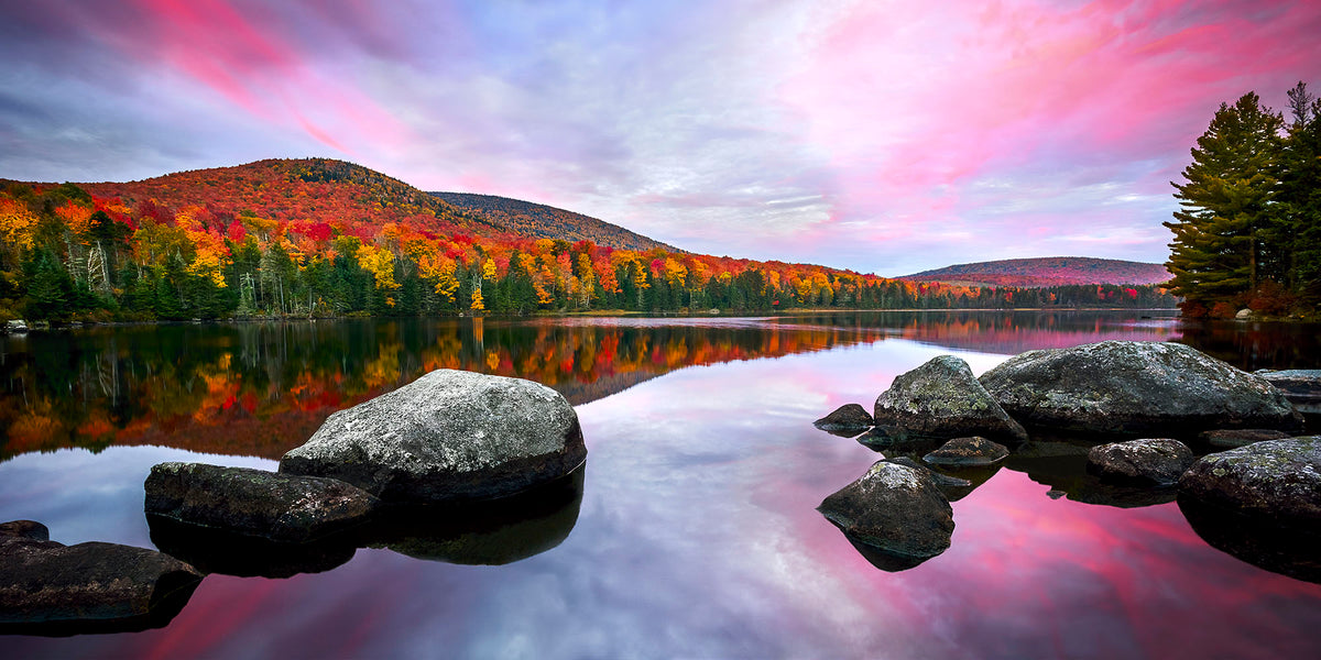 SUEÑO DE OTOÑO
