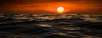 A NEW DAY III image 0