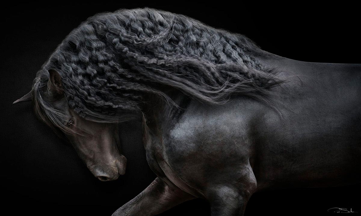 REVERENCE image 0