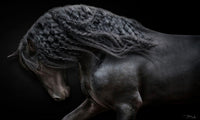 REVERENCE image 0