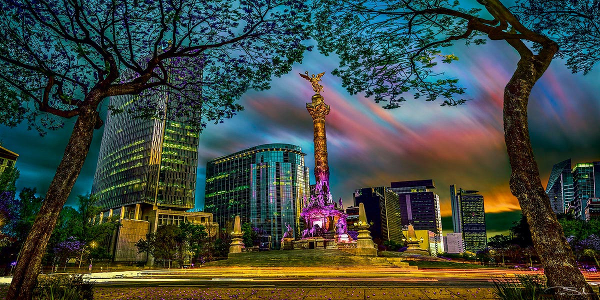 LA JACARANDA Y EL ÁNGEL image 0