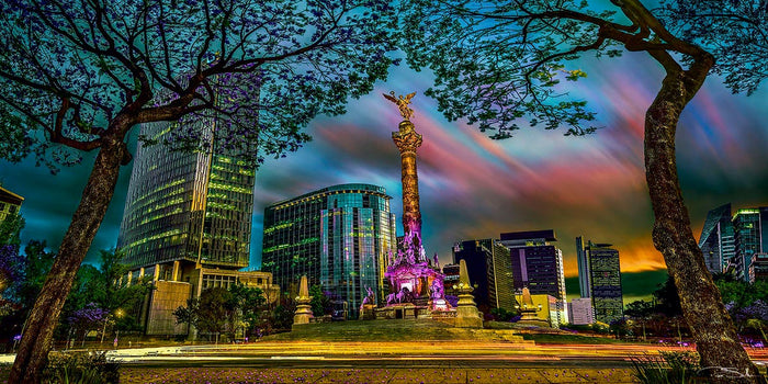LA JACARANDA Y EL ÁNGEL image 0