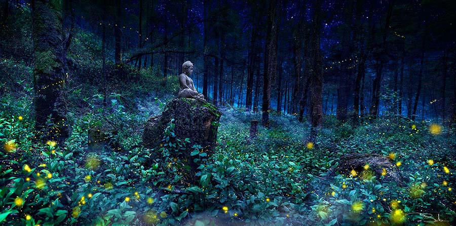 SAMADHI image 0