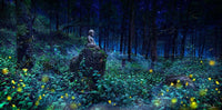SAMADHI image 0