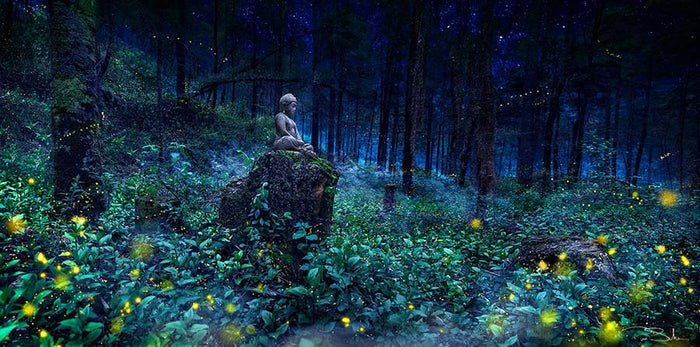 SAMADHI image 0