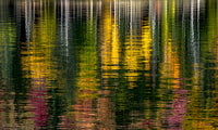 Sueños de Otoño image 0