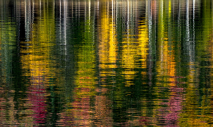 Sueños de Otoño image 0