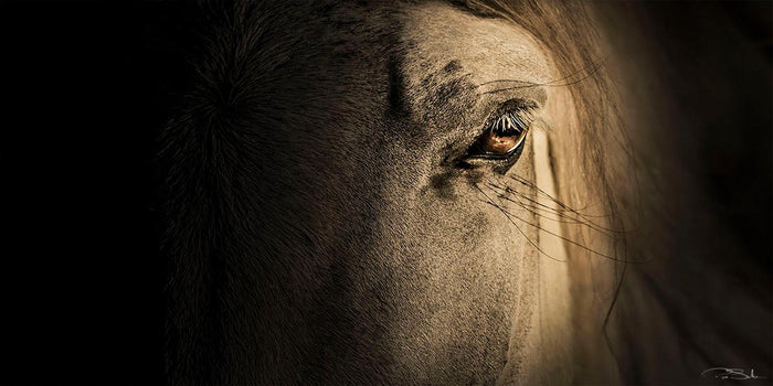 MYSTIC HORSE image 0