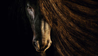 BEAUTIFUL image 0